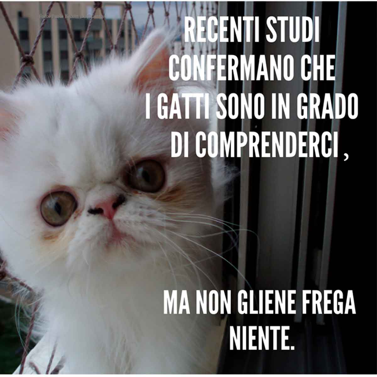 Particula ne em italiano