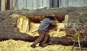Giuseppe Penone trabalhando