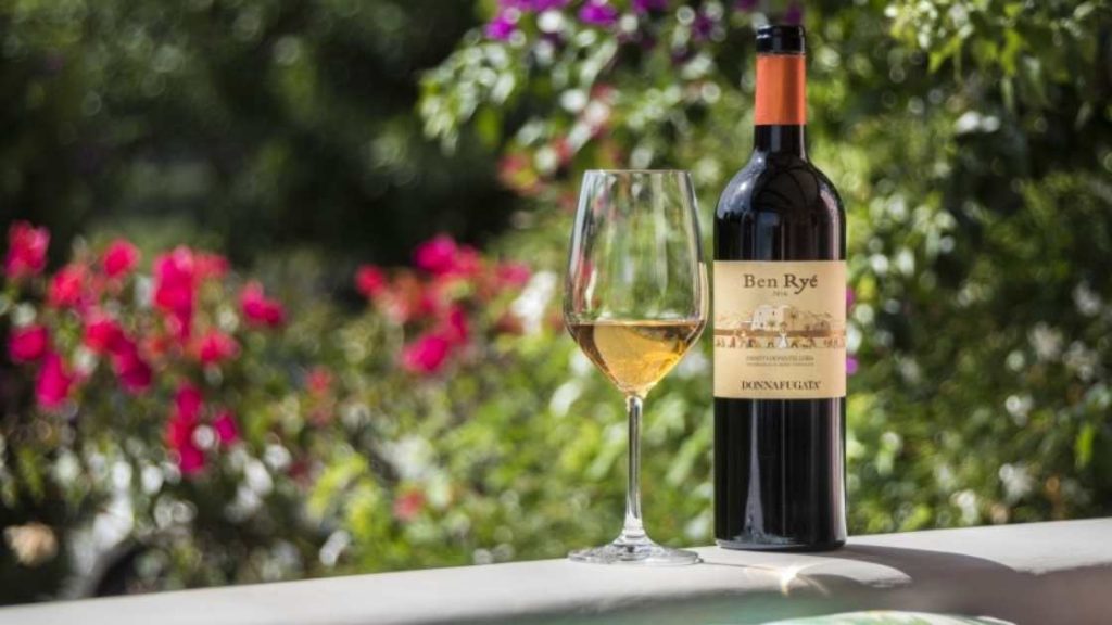 Vinho com uvas sagradas de Pantelleria